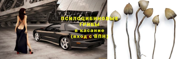 тгк Абаза