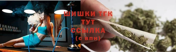 тгк Абаза